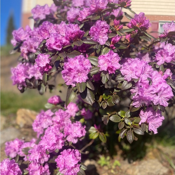 Meet your Posher! - Picture 1 of 1